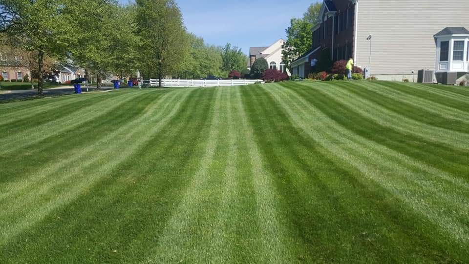 Lawn Maintenance